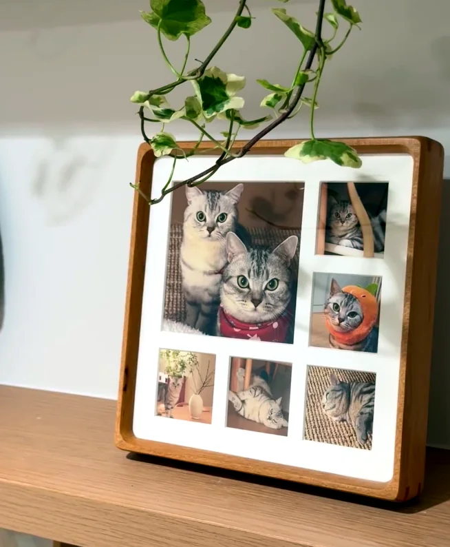 wood framed cat photo collage keepsake displayed on a shelf